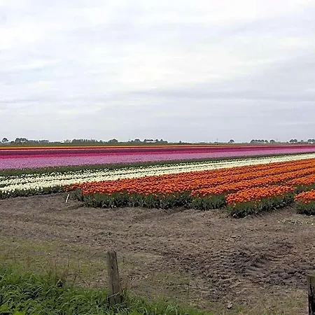 Bed & Breakfast Het Burgemeestershuis