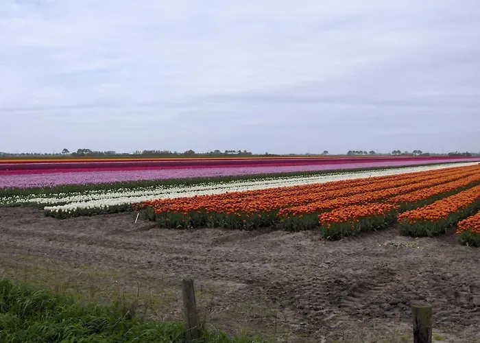 Het Burgemeestershuis Bed & Breakfast 4*