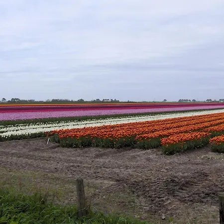 Het Burgemeestershuis Frühstückspension 4*
