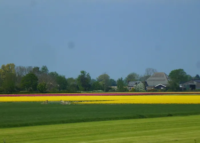 Het Burgemeestershuis Frühstückspension